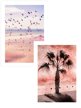 Pink Shades - Poster Seti Duo
